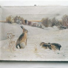 Zajíček - krajina